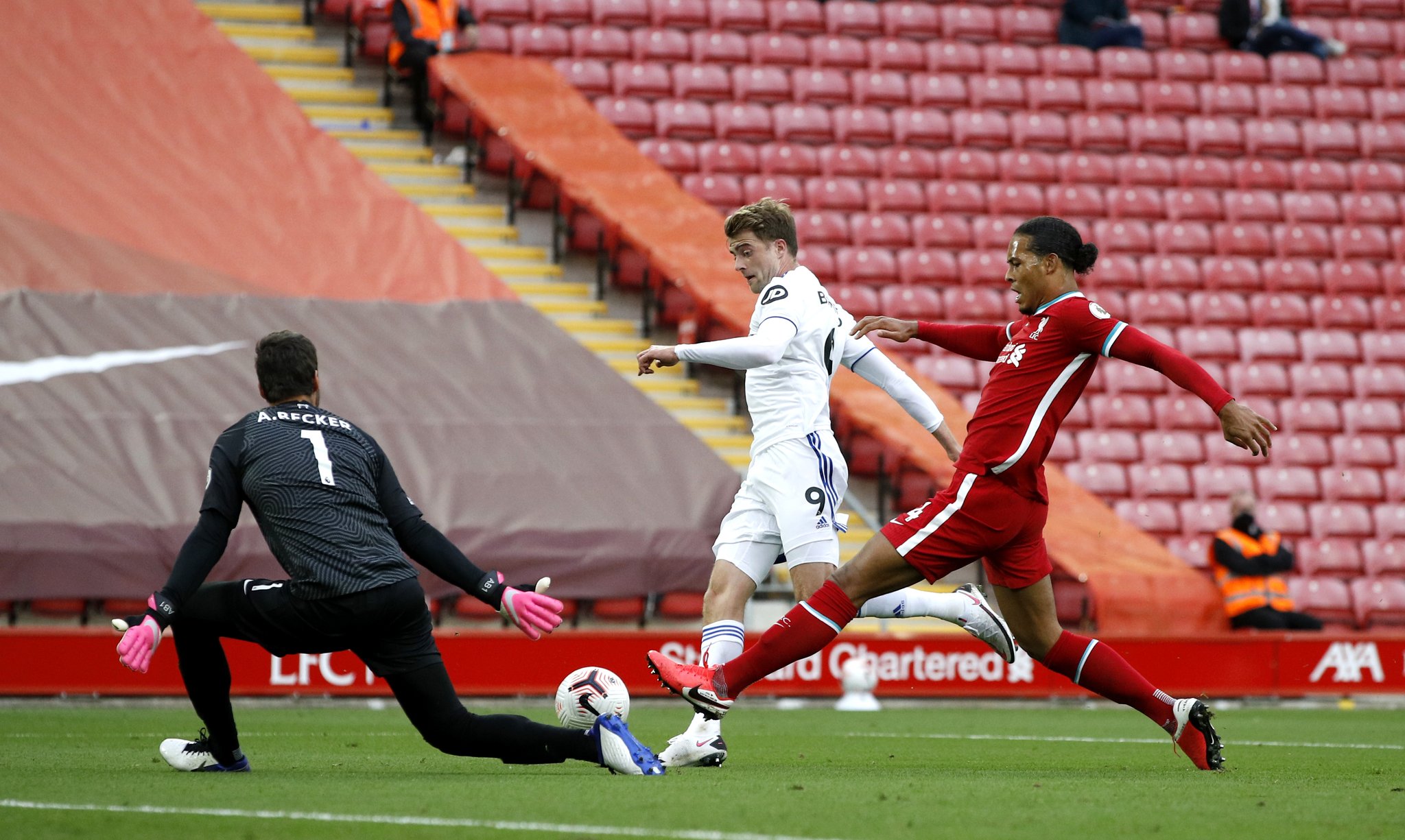 超级新星布 超级新星布