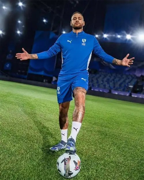 不仅仅依靠 不仅仅依靠